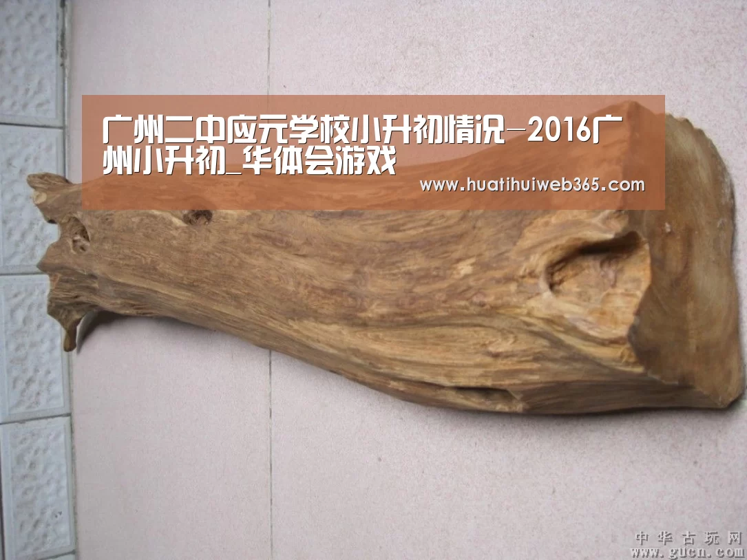 华体会游戏